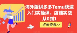 海外版拼多多Temu快速入门实操课,店铺实战从0到1-网络创业副业兼职学习网