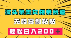 微头条冷门美女相亲赛道，无脑复制粘贴，轻松日入200＋【揭秘】-网络创业副业兼职学习网