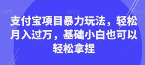 支付宝项目暴力玩法,轻松月入过万,基础小白也可以轻松拿捏【揭秘】-网络创业副业兼职学习网