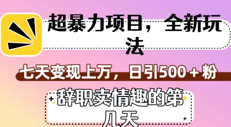 超暴利项目，全新玩法（辞职卖情趣的第几天），七天变现上万，日引500+粉【揭秘】-网络创业副业兼职学习网