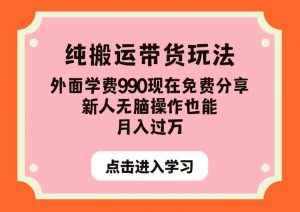 纯搬运带货玩法，外面学费990现在免费分享，新人无脑操作也能月入过万【揭秘】-网络创业副业兼职学习网