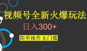 视频号最新爆火玩法，日入300+，简单操作无门槛【揭秘】-网络创业副业兼职学习网
