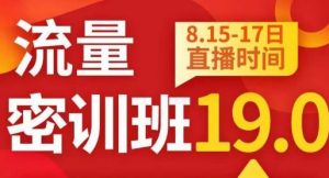 秋秋线上流量密训班19.0,打通流量关卡,线上也能实战流量破局-网络创业副业兼职学习网