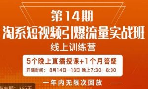 南掌柜·淘系短视频引爆流量实战班，​短视频是一个没有天花板的流量入口-网络创业副业兼职学习网
