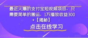 最近火爆的支付宝短视频项目，只需要简单的搬运，1万播放收益300+【揭秘】-网络创业副业兼职学习网