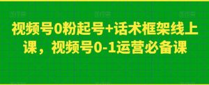 视频号0粉起号+话术框架线上课,视频号0-1运营必备课-网络创业副业兼职学习网