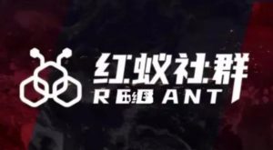 社群运营：红蚁社群【48节落地系统课程+2000人高端社群】-网络创业副业兼职学习网