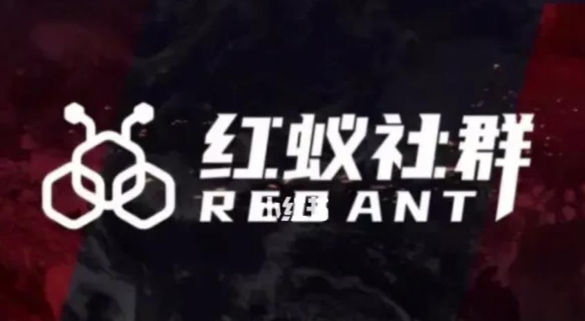 社群运营：红蚁社群【48节落地系统课程+2000人高端社群】-网络创业副业兼职学习网