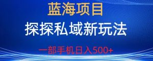 蓝海项目，探探私域新玩法，一部手机日入500+很轻松【揭秘】-网络创业副业兼职学习网