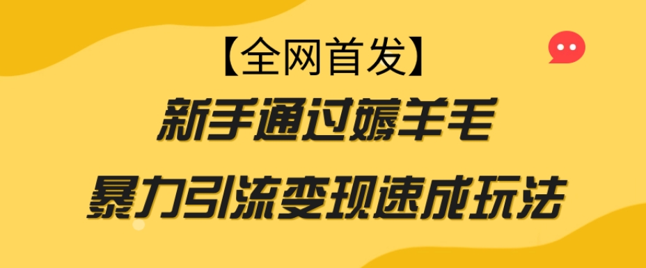 【全网首发】新手通过薅羊毛暴力引流变现速成玩法-网络创业副业兼职学习网