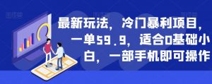 最新玩法，冷门暴利项目，一单59.9，适合0基础小白，一部手机即可操作【揭秘】-网络创业副业兼职学习网