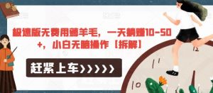 极速版无费用薅羊毛，一天躺赚10-50+，小白无脑操作【拆解】-网络创业副业兼职学习网