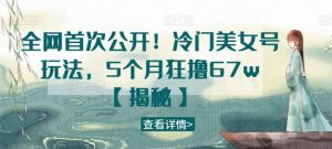 全网首次公开！冷门美女号玩法，5个月狂撸67w【揭秘】-网络创业副业兼职学习网