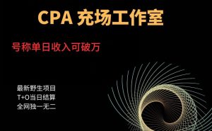 cpa充场工作室，号称单日收入10000+（揭秘）-网络创业副业兼职学习网