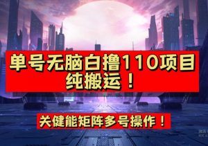 9月全网首发，单号直接白撸110！可多号操作，无脑搬运复制粘贴【揭秘】-网络创业副业兼职学习网