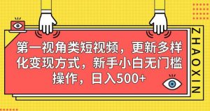 第一视角类短视频，更新多样化变现方式，新手小白无门槛操作，日入500+【揭秘】-网络创业副业兼职学习网