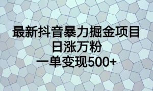 最新抖音暴力掘金项目，日涨万粉，一单变现500+【揭秘】-网络创业副业兼职学习网