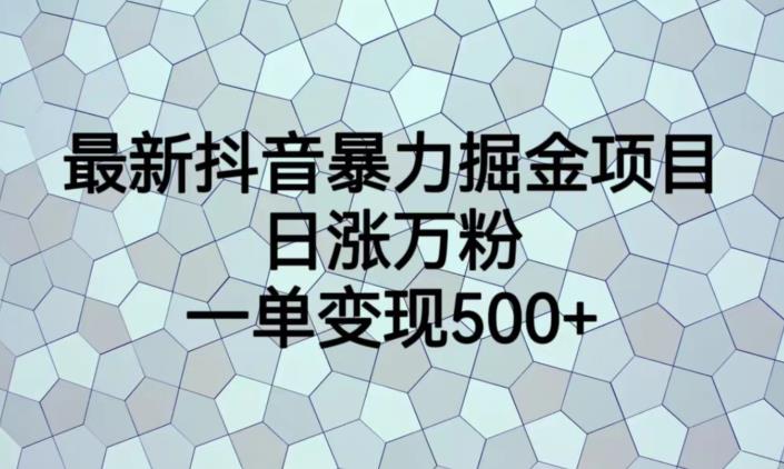 最新抖音暴力掘金项目，日涨万粉，一单变现500+【揭秘】-网络创业副业兼职学习网