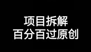 项目拆解赛道百分百过原创【揭秘】-网络创业副业兼职学习网