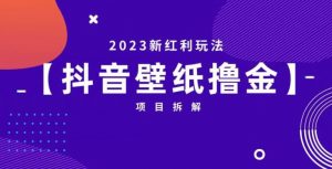 抖音壁纸小程序创作者撸金项目，2023新红利玩法【项目拆解】-网络创业副业兼职学习网