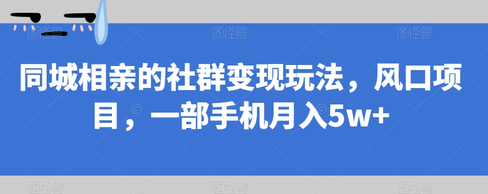 同城相亲的社群变现玩法，风口项目，一部手机月入5w+【揭秘】-网络创业副业兼职学习网
