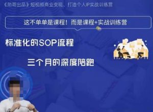 勋哥·短视频变现训练营,解决核心问题,标准化起号流程,以变现为核心-网络创业副业兼职学习网