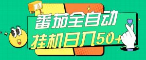 番茄全自动挂机日入50+，软件全自动，多号破百【揭秘】-网络创业副业兼职学习网