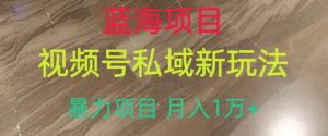 蓝海项目，视频号私域新玩法，暴力项目月入1万+【揭秘】-网络创业副业兼职学习网