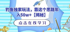钓鱼独家玩法,靠这个思路年入50w+【揭秘】-网络创业副业兼职学习网