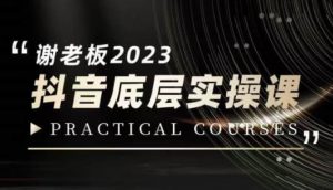 蟹老板·2023抖音底层实操课，打造短视频的底层认知-网络创业副业兼职学习网