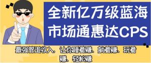 全新亿万级蓝海市场通惠达cps，最强管道收入，让你睡着赚、躺着赚、玩着赚、轻松赚【揭秘】-网络创业副业兼职学习网