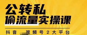 群响公转私偷流量实操课，致力于拥有更多自持，持续，稳定，精准的私域流量！-网络创业副业兼职学习网