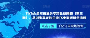 TikTok全方位通关专项企业陪跑【第三期】,从0到1真正的企业TK电商运营全流程-网络创业副业兼职学习网
