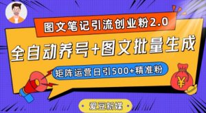 爱豆新媒：全自动养号+图文批量生成，日引500+创业粉（抖音小红书图文笔记2.0）-网络创业副业兼职学习网