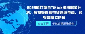 2023风口项目TikTok出海掘金计划,短视频直播带货跨境电商,多收益模式扶持-网络创业副业兼职学习网