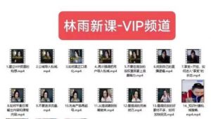 林雨新课VIP频道，玩赚私域/朋友圈/社群-网络创业副业兼职学习网
