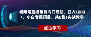 视频号直播带货冷门玩法,日入1000+,小白专属项目,从0到1实战教学【揭秘】-网络创业副业兼职学习网