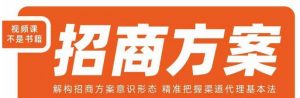 王昕招商方案，解构招商方案意识形态，精准把握渠道代理基本法-网络创业副业兼职学习网