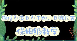 微信互推圈半自动引流方案,矩阵操作日引千人思路【详细视频教程】-网络创业副业兼职学习网