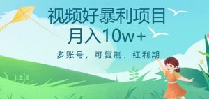 视频号暴利项目,多账号,可复制,红利期,月入10w+【揭秘】-网络创业副业兼职学习网