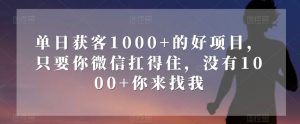 单日获客1000+的好项目,只要你微信扛得住,没有1000+你来找我【揭秘】-网络创业副业兼职学习网