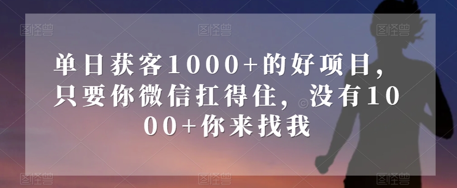 单日获客1000+的好项目，只要你微信扛得住，没有1000+你来找我【揭秘】-网络创业副业兼职学习网