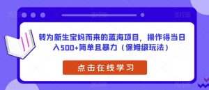 转为新生宝妈而来的蓝海项目，操作得当日入500+简单且暴力（保姆级玩法）【揭秘】-网络创业副业兼职学习网