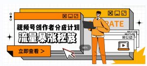 一条视频收益3000+，一条作品涨粉2000+，视频号流量爆炸·的秘籍-网络创业副业兼职学习网