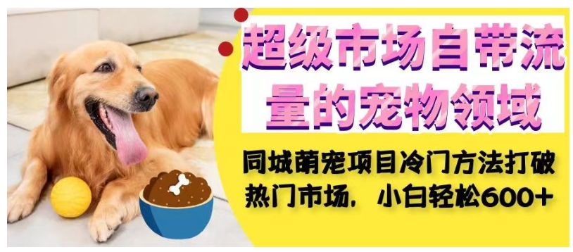 超级市场自带流量的宠物领域，同城萌宠项目冷门方法打破热门市场，小白轻松600+-网络创业副业兼职学习网