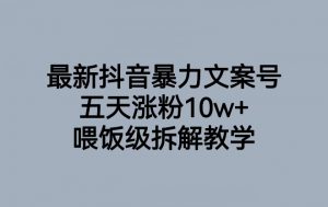 最新抖音暴力文案号，五天涨粉10w+，喂饭级拆解教学-网络创业副业兼职学习网