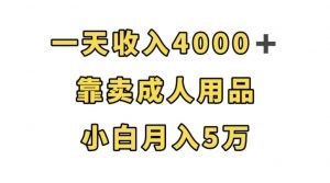 一天收入4000+，靠卖成人用品，小白轻松月入5万【揭秘】-网络创业副业兼职学习网