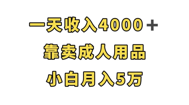 一天收入4000+，靠卖成人用品，小白轻松月入5万【揭秘】-网络创业副业兼职学习网