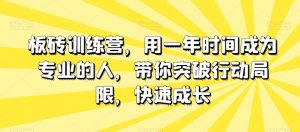 板砖训练营,用一年时间成为专业的人,带你突破行动局限,快速成长-网络创业副业兼职学习网