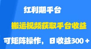 搬运视频获取平台收益，平台红利期，附保姆级教程【揭秘】-网络创业副业兼职学习网